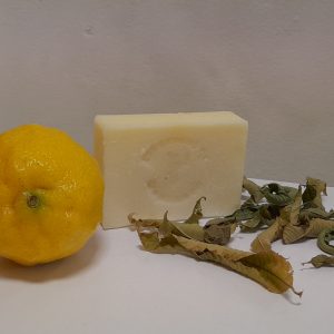 Savon Verveine/Citron